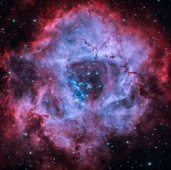 Rosetta Nebula - Astrophotography
