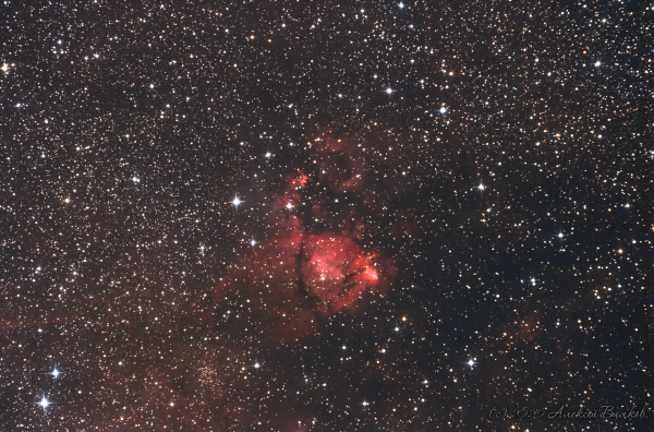 IC1795 aka The Fishhead Nebula - Astrophotography