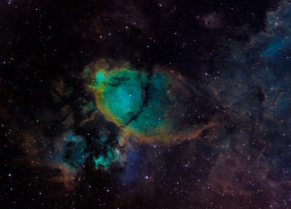 IC 1795 (Fish Head nebula) - SHO - Astrophotography