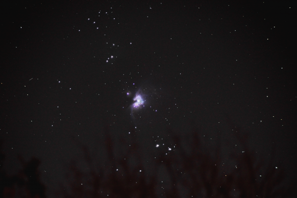Orion Nebula. 18.11.2020 - Astrophotography