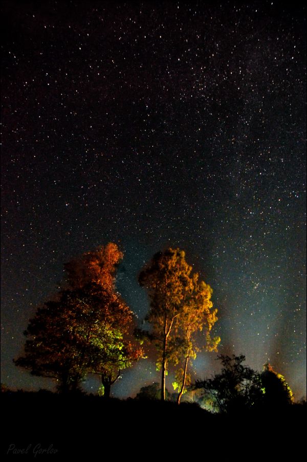 Starry sky above the village of Kindgi. - Astrophotography