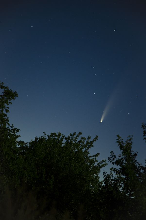 C/2020 F3 (NEOWISE) - Astrophotography