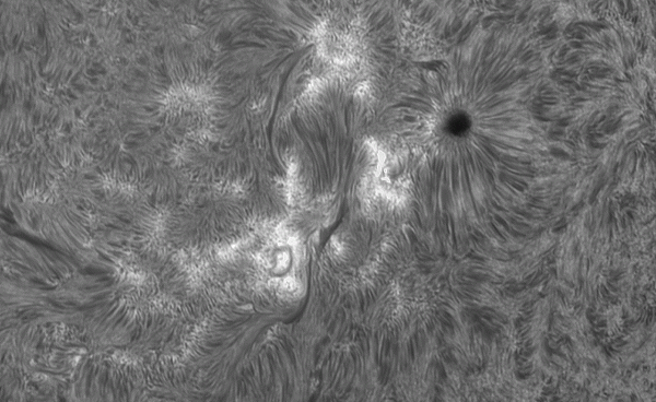 Animation AR4087 for 40min - Astrophotography