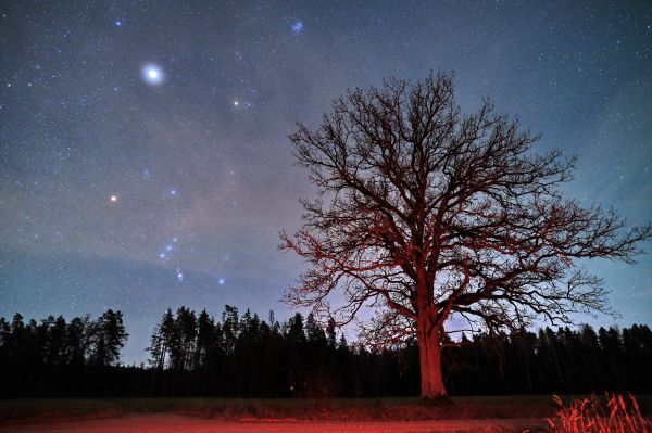 Orion 11.2024 - Astrophotography