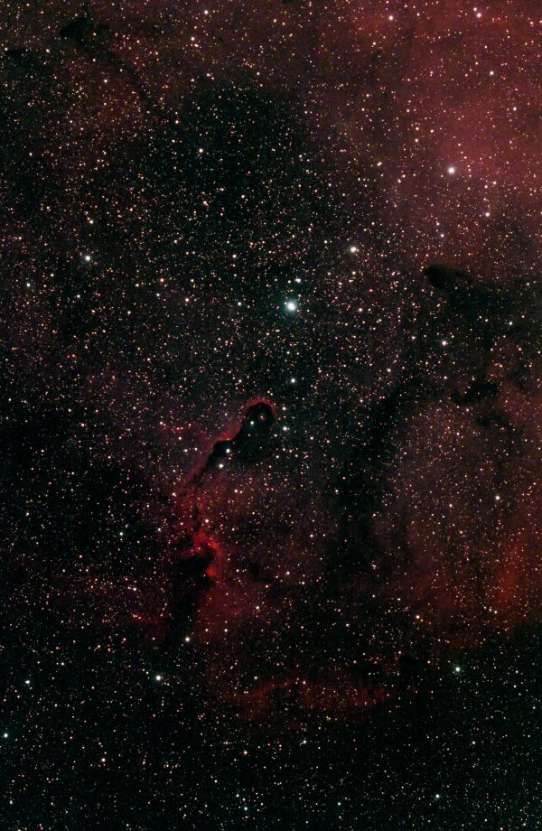 Elephant's Trunk Nebula (IC 1396A) - Astrophotography