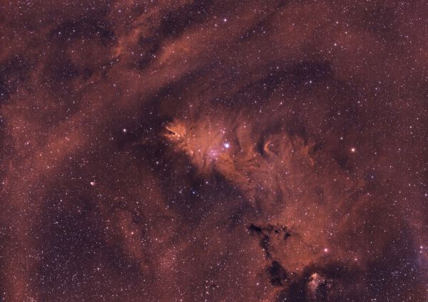 The Fox Fur Nebula (also known as the Cone Nebula) - Astrophotography