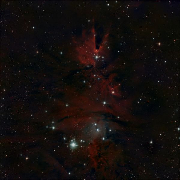 NGC2264 - Astrophotography