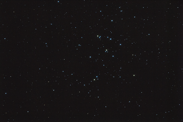 Star cluster M44 Manger (Beehive). 01/31/2025 - Astrophotography