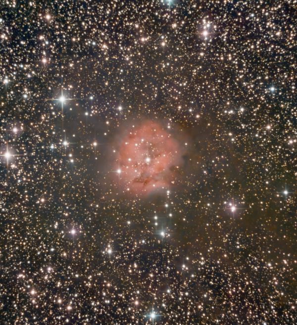 C19 - Cocoon Nebula - Astrophotography
