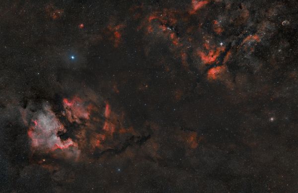 Complex of nebulae in the constellation Cygnus - Astrophotography