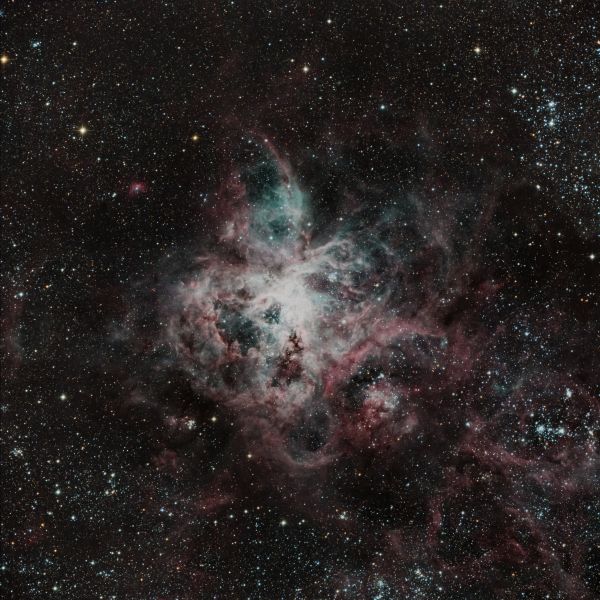 NGC 2070 (Tarantula Nebula) - Astrophotography