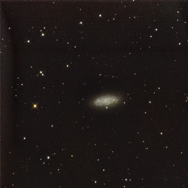 NGC2976 - Astrophotography