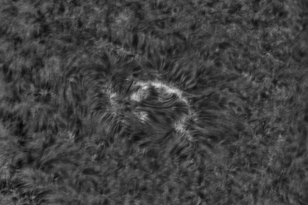 2020.10.26 Sun AR H-Alpha - Astrophotography