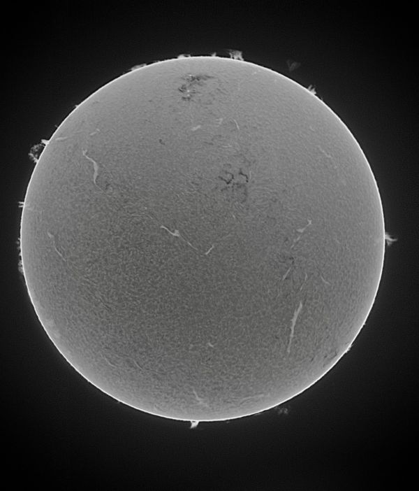 The Sun 08-04-23 invert - Astrophotography