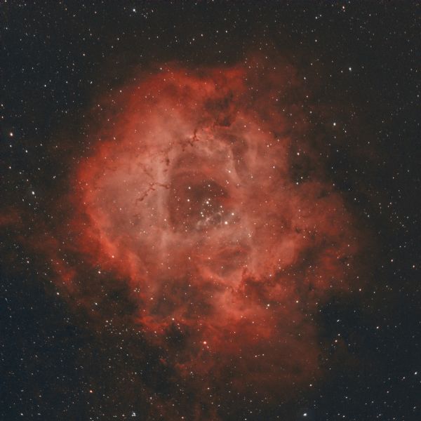 Rosette Nebula NGC2244 in Monoceros - Astrophotography