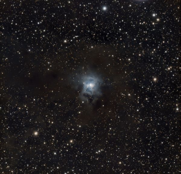 Iris NGC 7023 - Astrophotography
