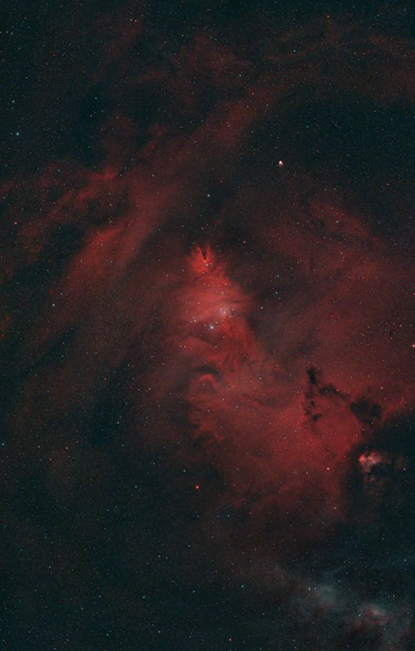 NGC 2264 Christmas Tree Cluster on Christmas Night - Astrophotography