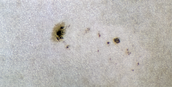 SUNSPOT GROUP #2827 31.05.2021 - Astrophotography