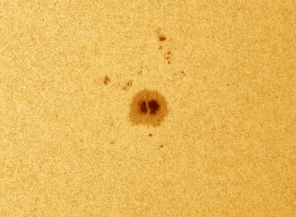 Sunspot Group 3811 - Astrophotography