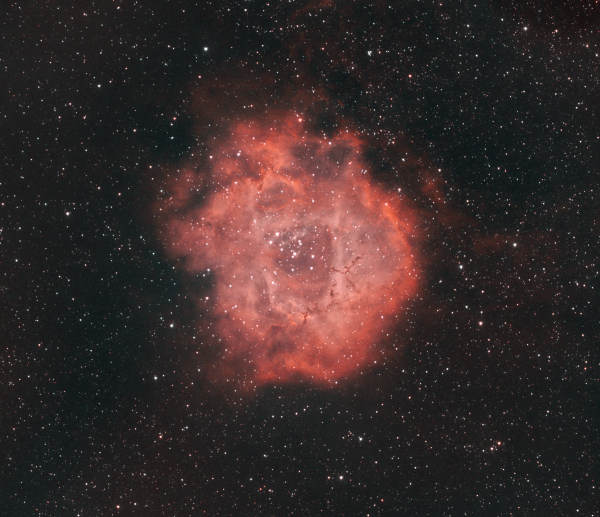 The Rosette Nebula - Astrophotography