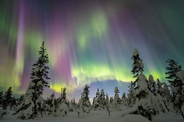 Aurora, Moon, Venus - Astrophotography