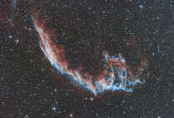 NGC6995 "The Bat Nebula" - Astrophotography