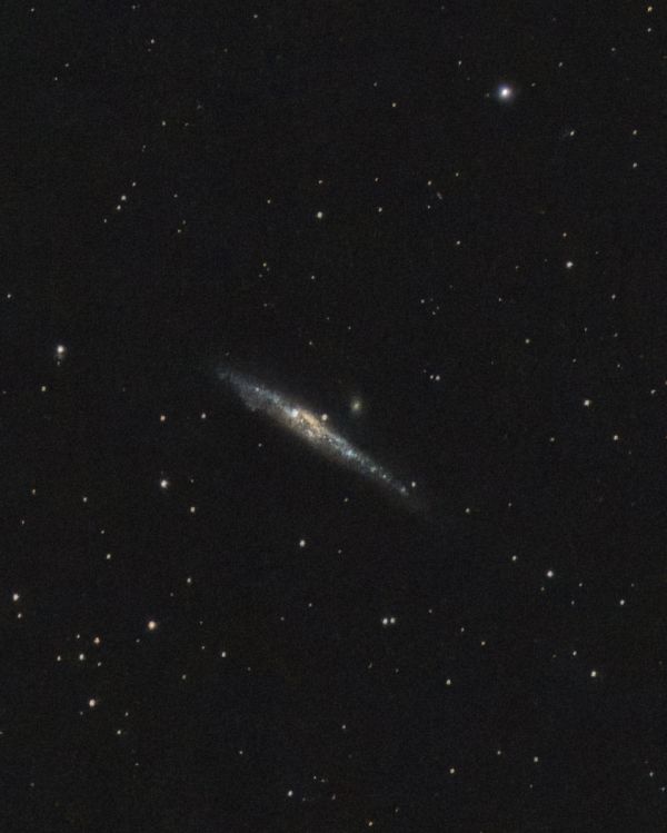 NGC 4631 - Whale Galaxy - Astrophotography