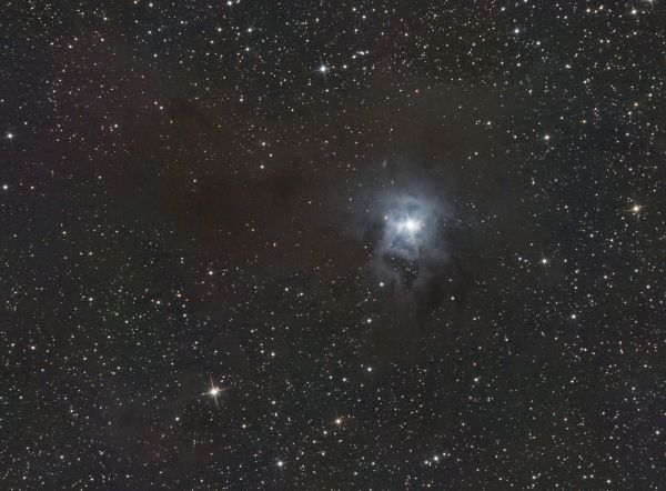 Iris Nebula - Astrophotography