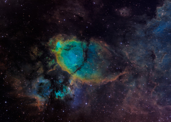 IC 1795 (Fish Head nebula) - SHO - Astrophotography