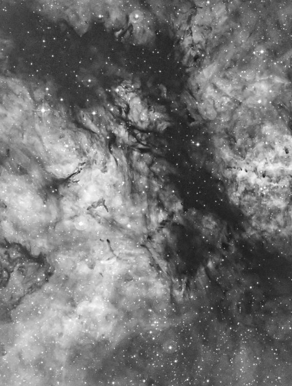 The Butterfly Nebula in Sadr Region (IC 1318) in H-a narrowband - Astrophotography