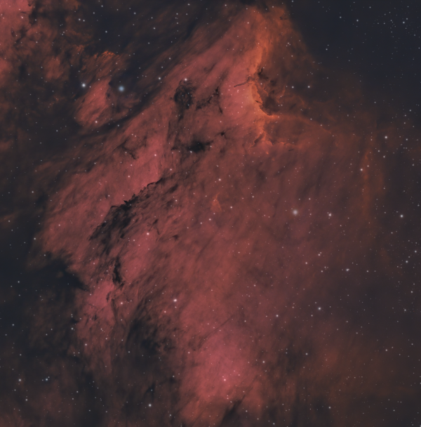 Pelican Nebula IC 5070 - Astrophotography