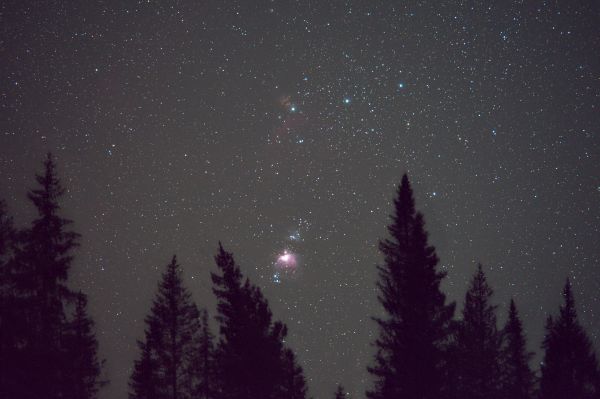 Landscape with Orion 14.02.2020 - Astrophotography