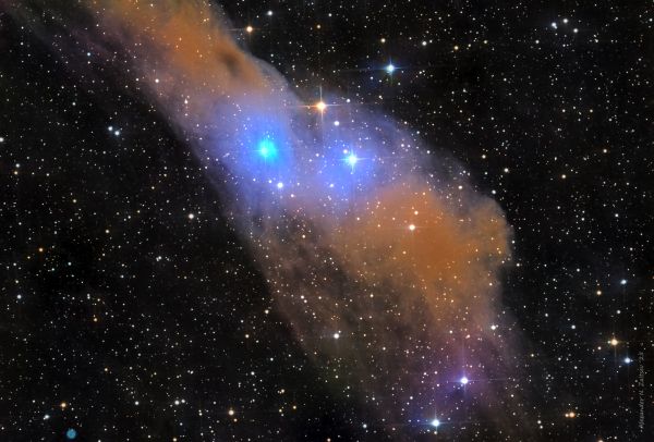 Av Hunter 1, nebulae LBN 534 and VdB 158, planetary nebula PK 110-12.1 in L filter - Astrophotography