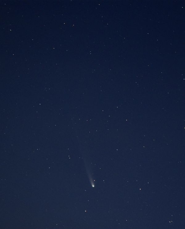 C/2025 A6 Lemmon - Astrophotography