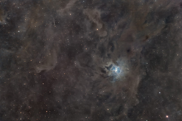 The reflection nebula 