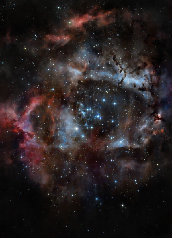 Rosette - Astrophotography