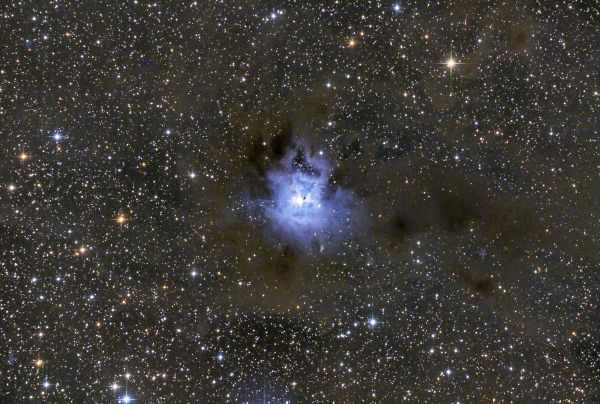 NGC 7023 Iris - Astrophotography