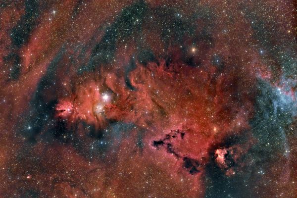 NGC2264 - Astrophotography