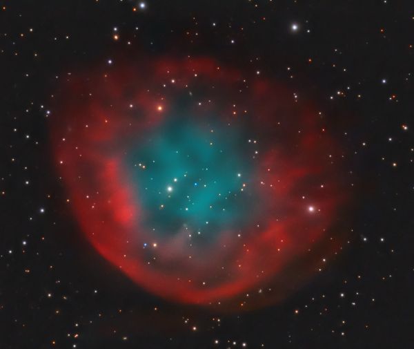 Abell 31 (PK 219 + 31.1 or Sharpless 290) - Astrophotography