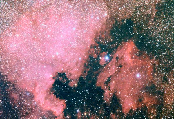 The North America Nebula and the Pelican Nebula - Astrophotography