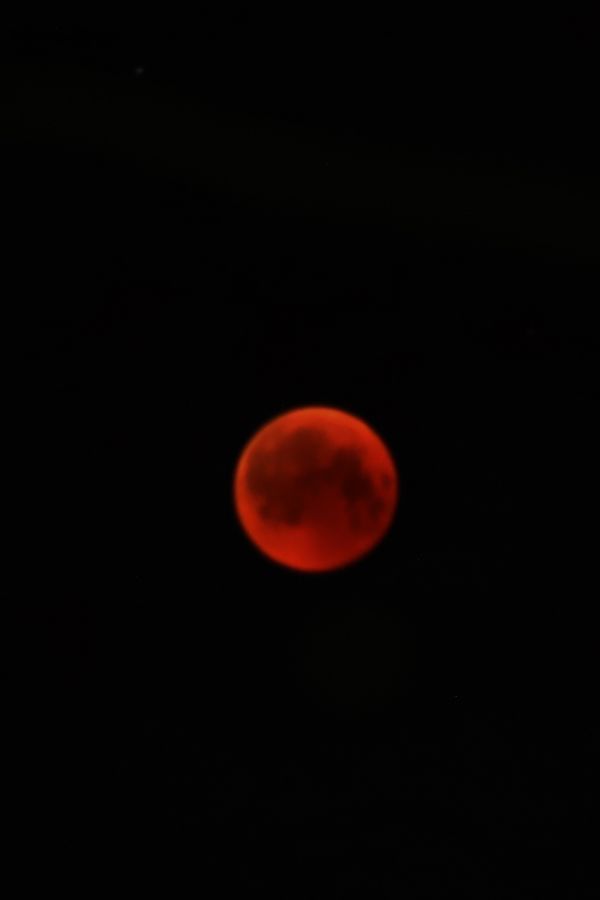 Blood Moon - Astrophotography
