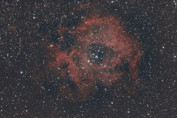 NGC2244 - Astrophotography