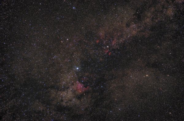 Cygnus widefield - Astrophotography