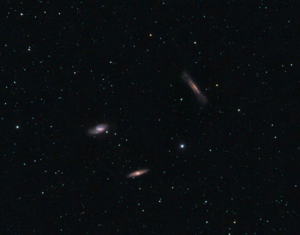 Leo Triplet - Astrophotography
