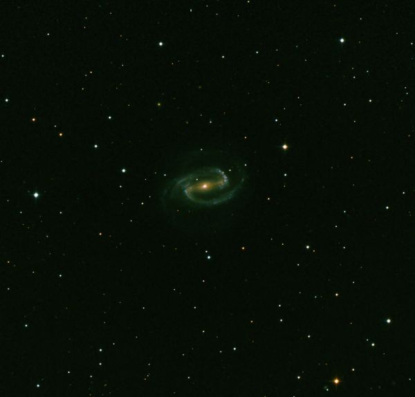 NGC 1300 - Astrophotography