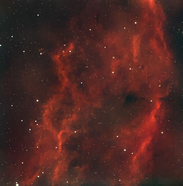 ngc1499-California - Astrophotography