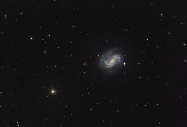 Galaxy NGC4051 - Astrophotography