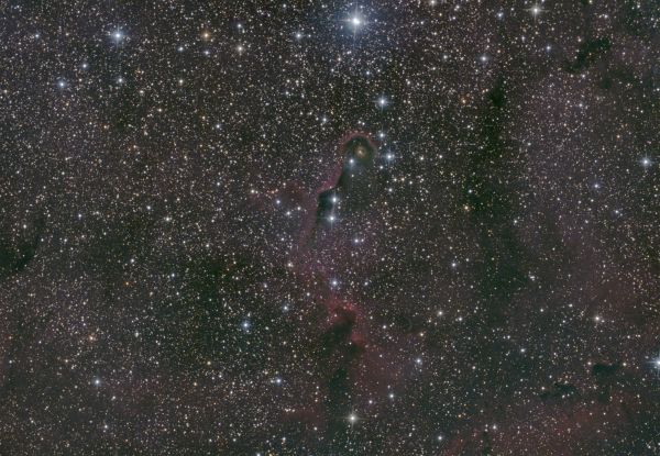 IC 1396A Elephant's Trunk - Astrophotography