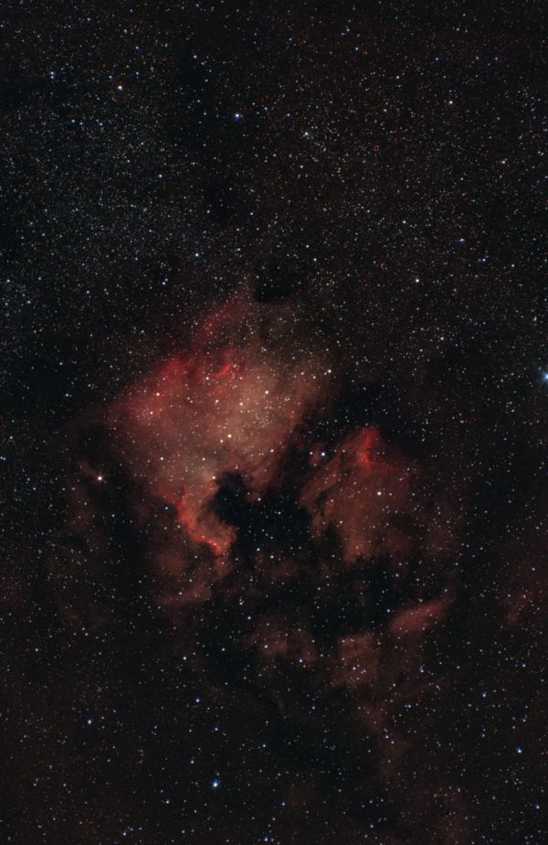 NGC 7000 - Astrophotography