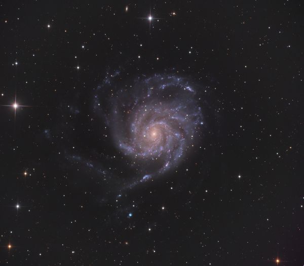 Galaxy M101 - Astrophotography